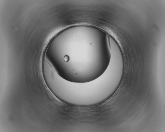 X0000112931480200909211103