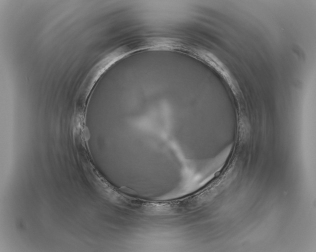 X0000112931481200909211103