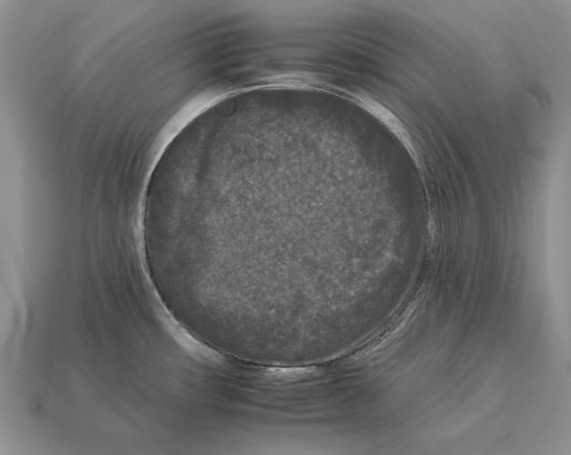 X0000112931482200909211103