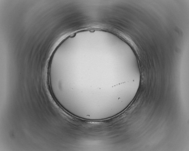 X0000112931483200909211103