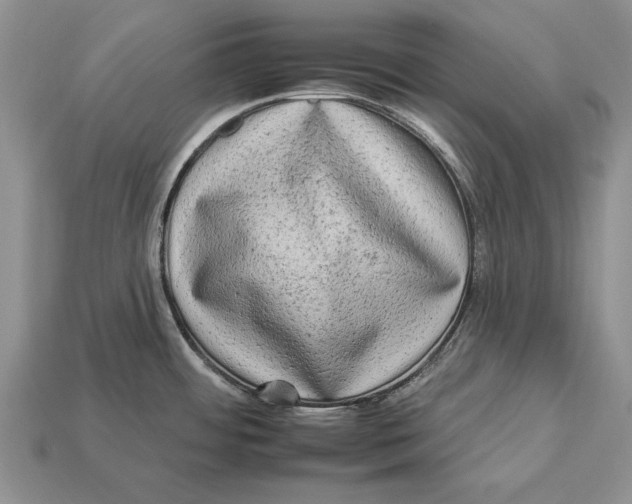 X0000112931484200909211103