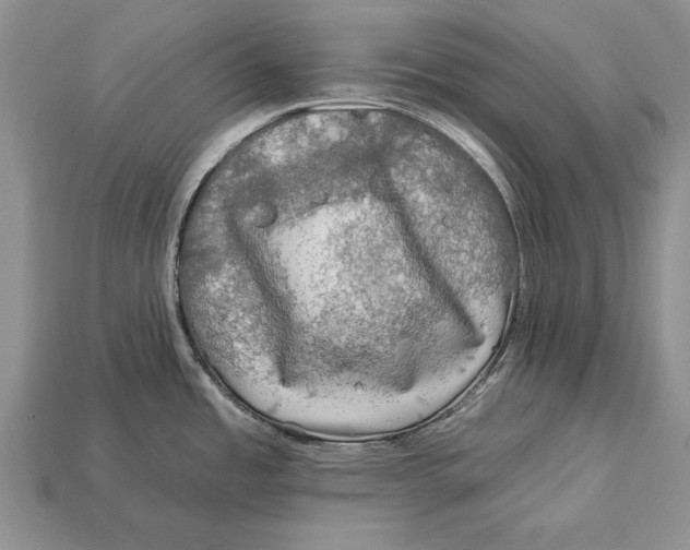 X0000112931485200909211103