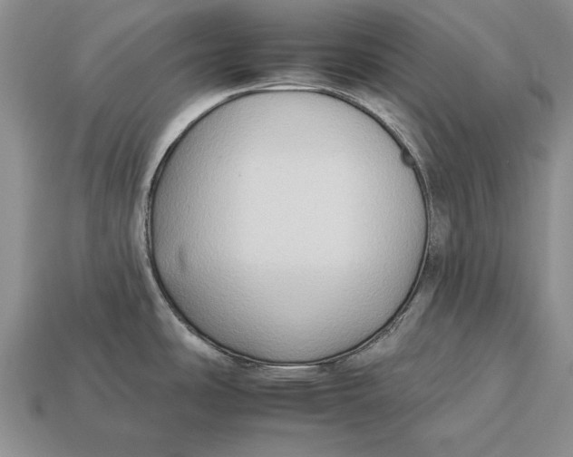X0000112931486200909211103