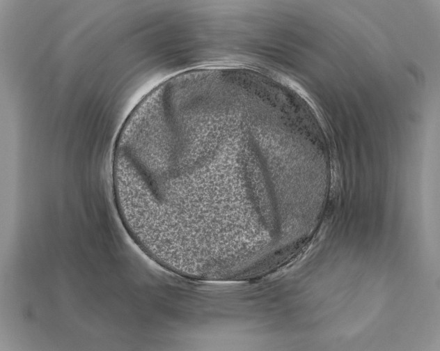 X0000112931487200909211103
