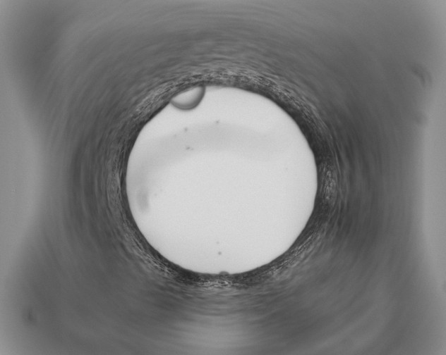 X0000112931489200909211103