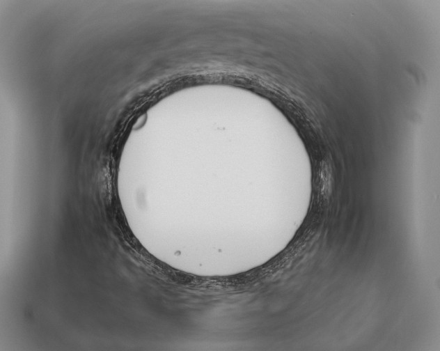 X0000112931493200909211103
