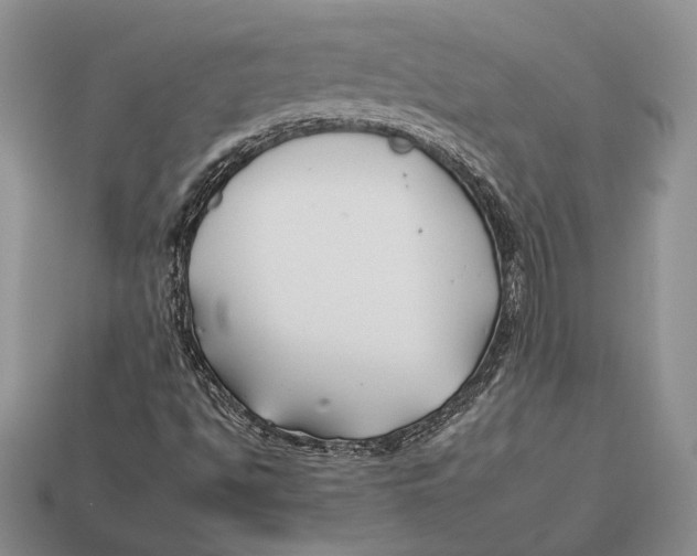 X0000112931494200909211103
