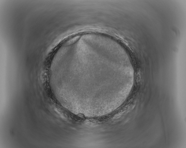X0000112931496200909211103