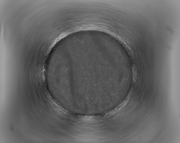 X0000112931497200909211103
