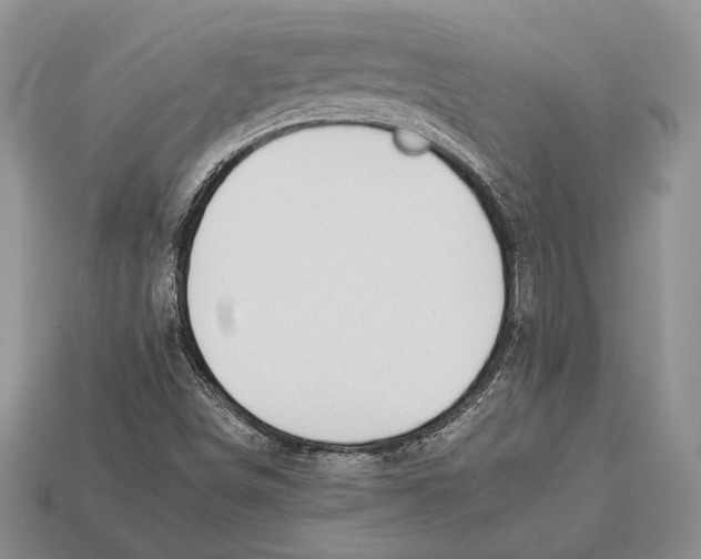 X0000112931498200909211103