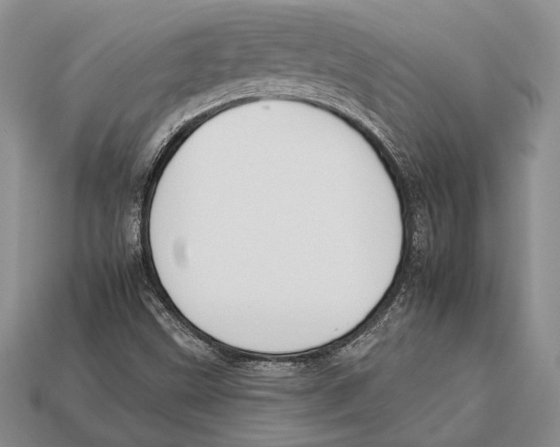X0000112931499200909211103