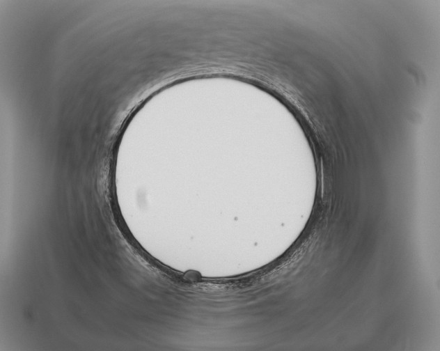 X0000112931500200909211103
