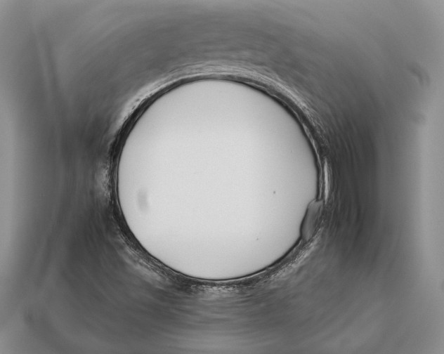 X0000112931501200909211103