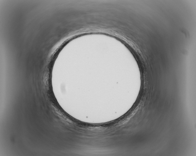 X0000112931502200909211103