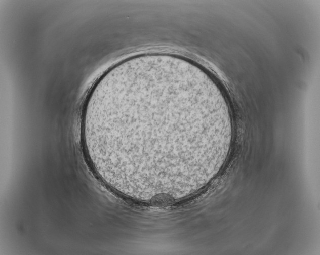 X0000112931504200909211103