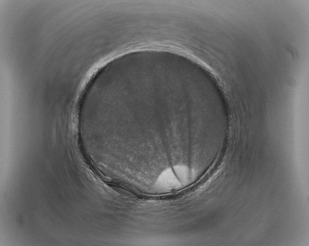 X0000112931506200909211103