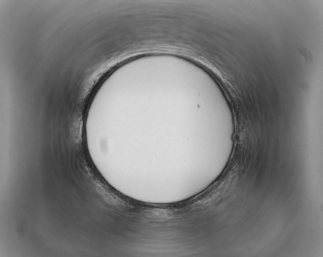 X0000112931507200909211103
