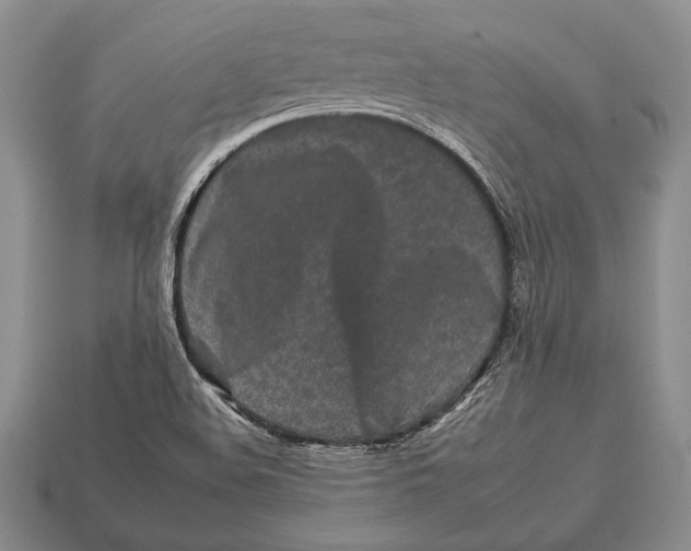 X0000112931508200909211103