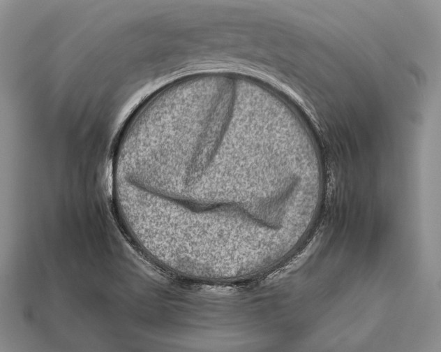 X0000112931509200909211103