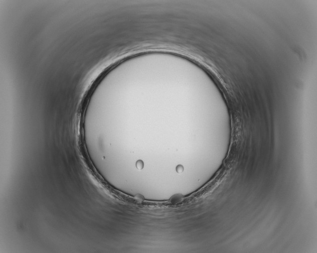 X0000112931511200909211103
