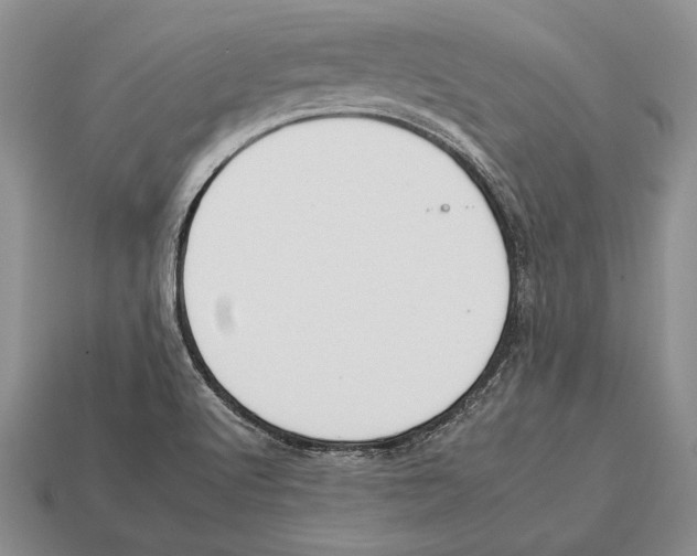 X0000112931512200909211103