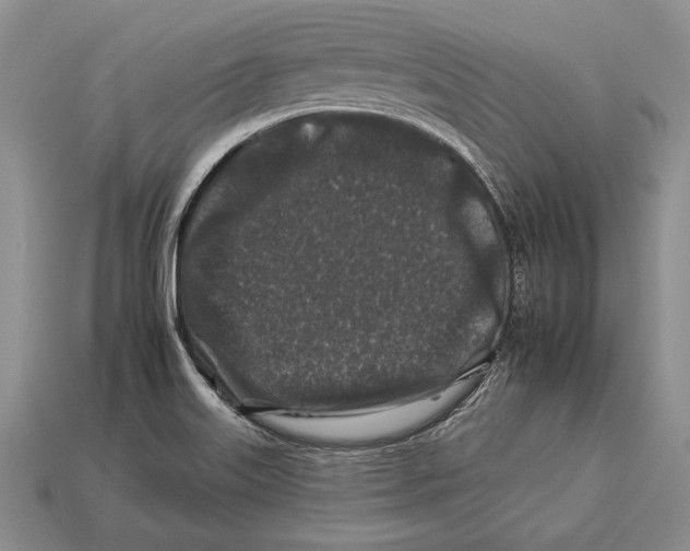X0000112931515200909211103
