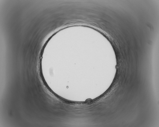 X0000112931518200909211103