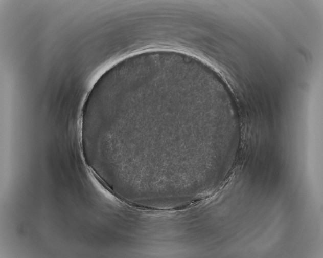 X0000112931519200909211103
