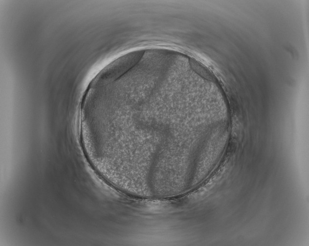 X0000112931520200909211103