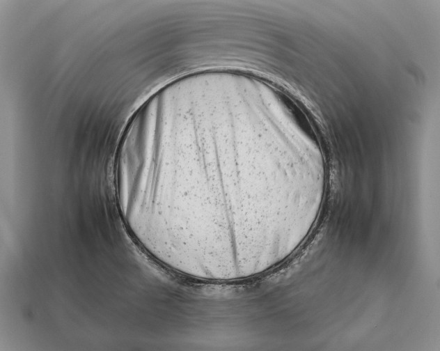 X0000112931521200909211103