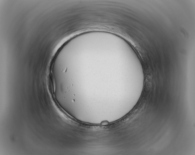 X0000112931523200909211103