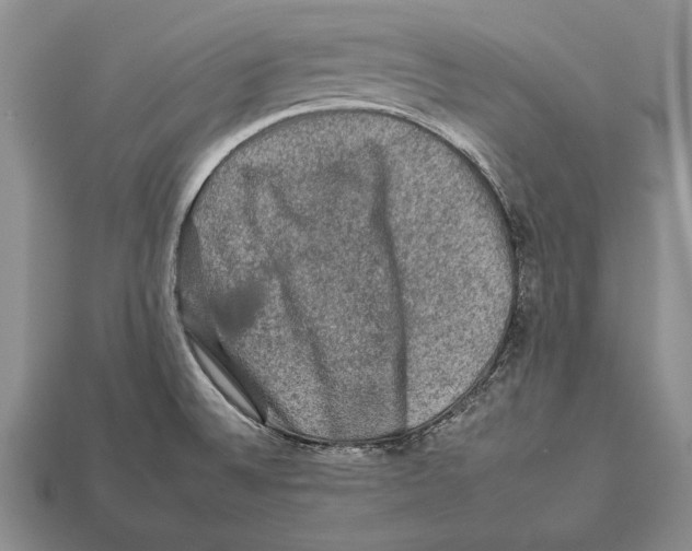 X0000112931524200909211103