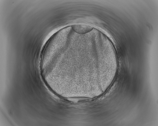 X0000112931525200909211103