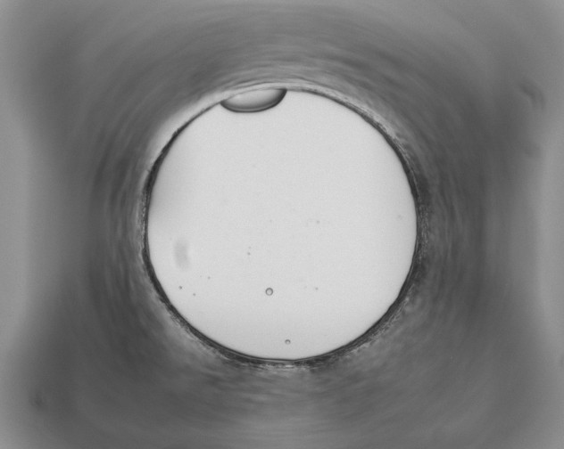 X0000112931526200909211103