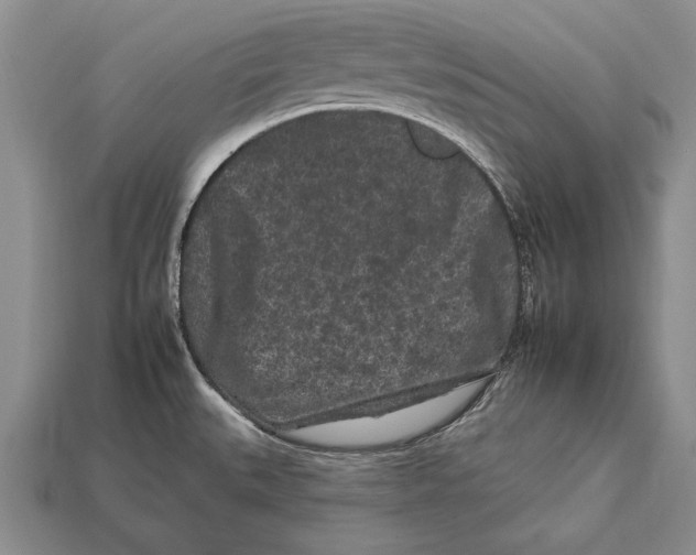 X0000112931527200909211103