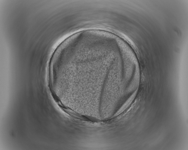 X0000112931528200909211103