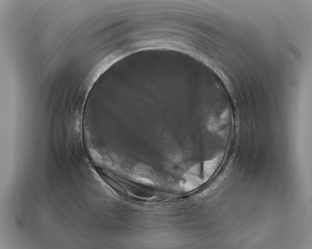 X0000112931529200909211103