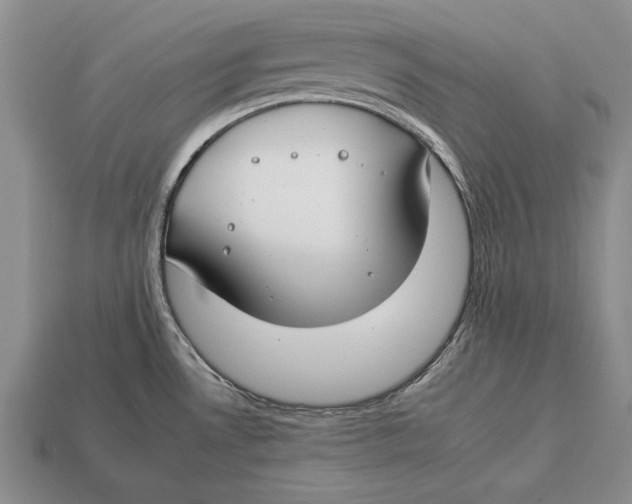 X0000112931530200909211103