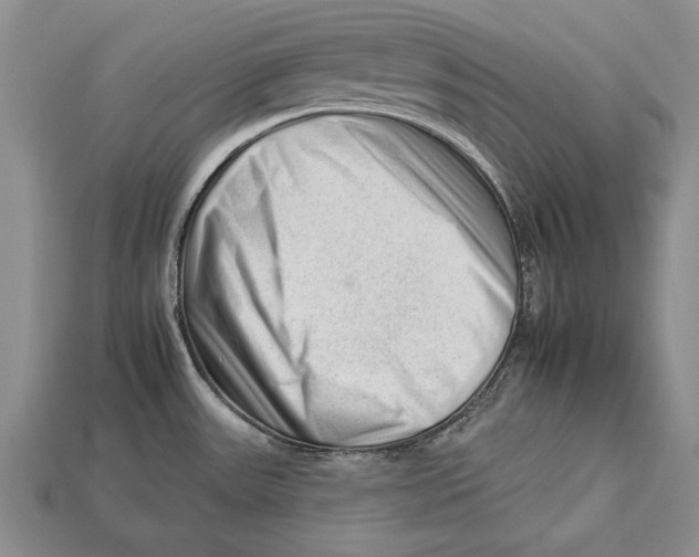 X0000112931531200909211103