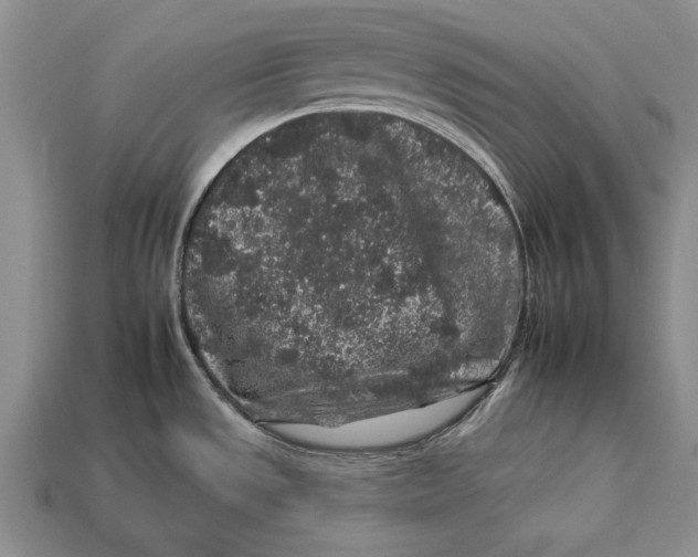 X0000112931533200909211103