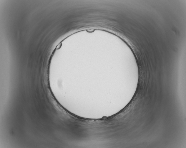X0000112931534200909211103