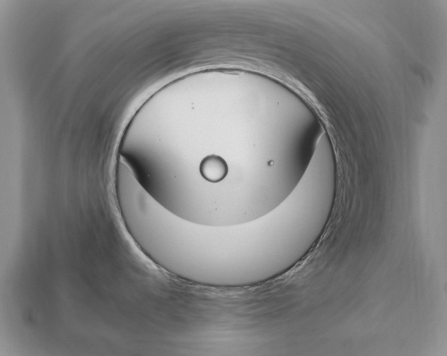 X0000112931536200909211103