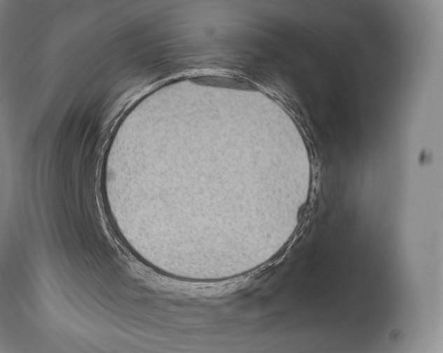X0000112930001200910051142