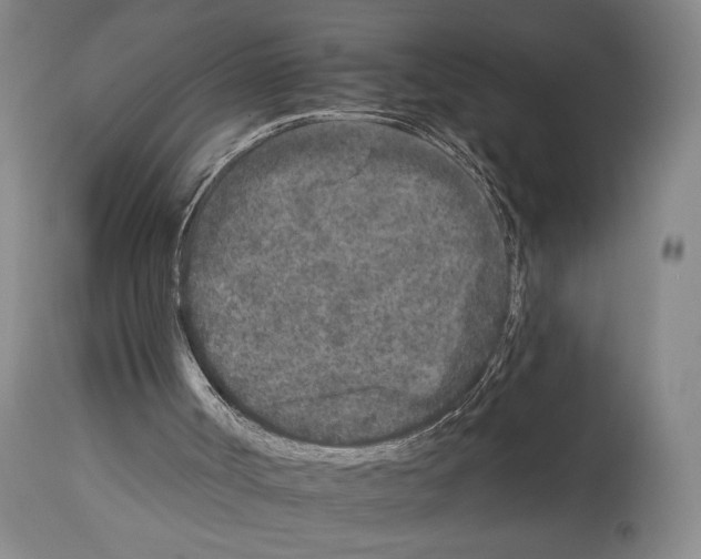 X0000112930002200910051142
