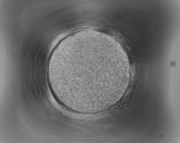 X0000112930003200910051142