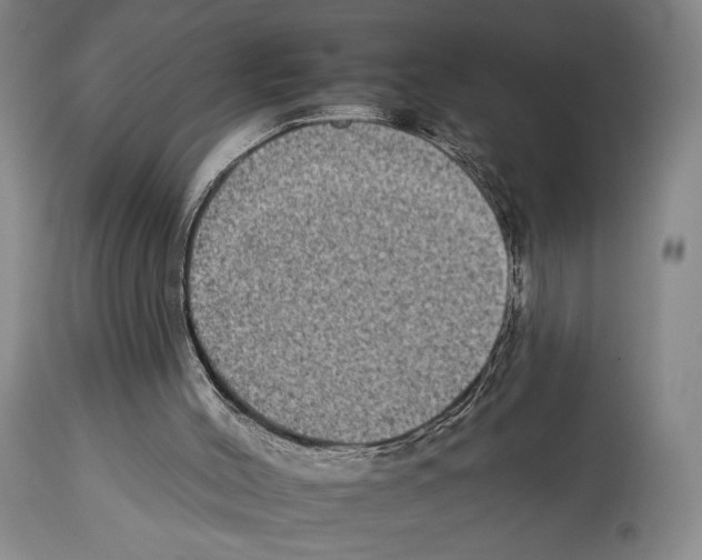 X0000112930004200910051142
