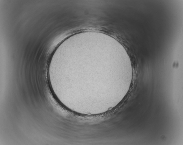 X0000112930005200910051142