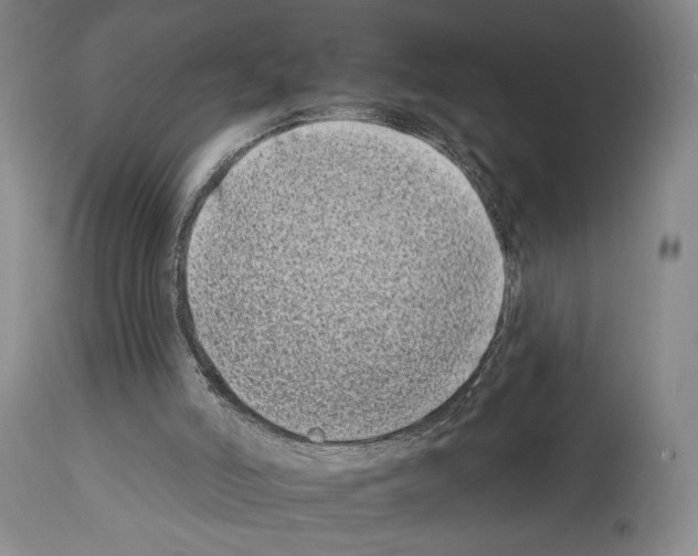X0000112930006200910051142