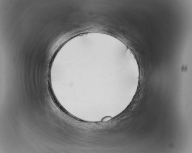 X0000112930007200910051142