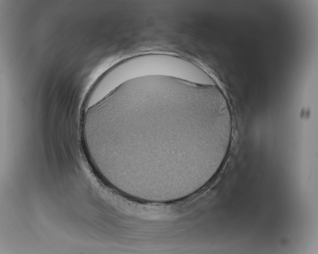 X0000112930008200910051142